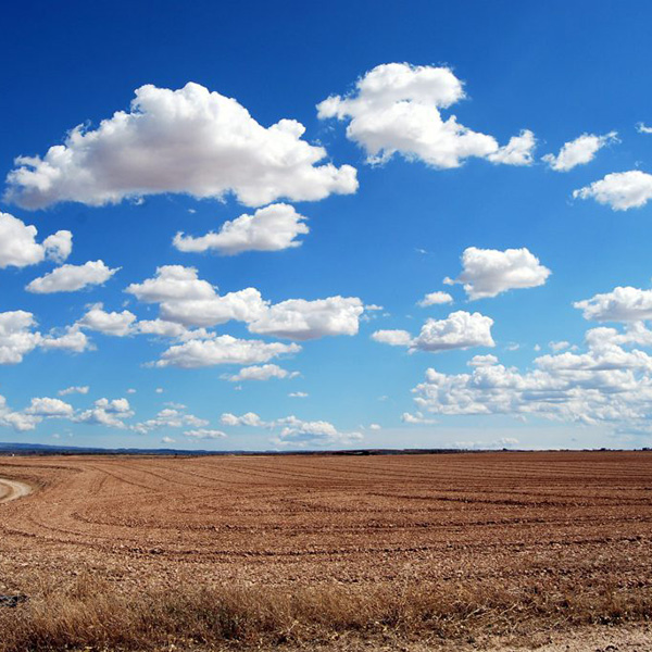 Madame Jeannine TORREBORRE