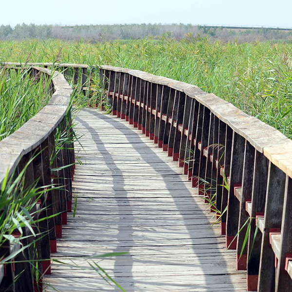 Monsieur Yohan HERVEIN